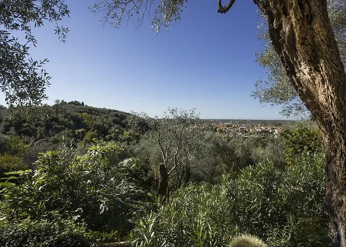 Locanda Al Colle * Camaiore
