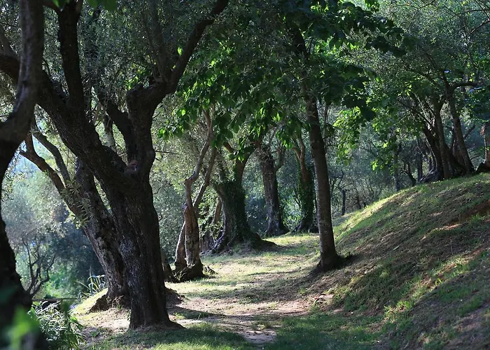 Locanda Al Colle Casa de hóspedes *