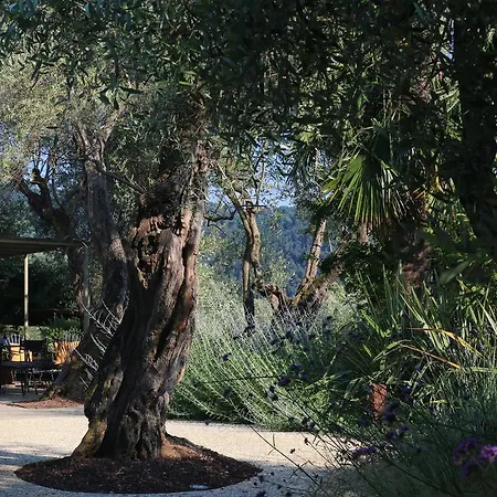 Locanda Al Colle
