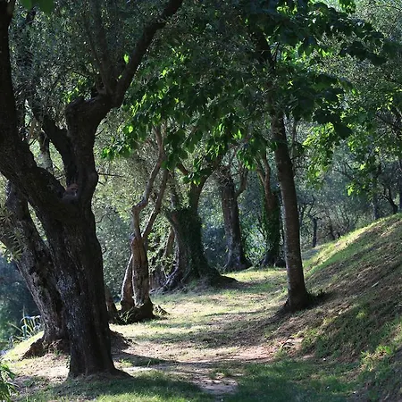 Locanda Al Colle Guest house *